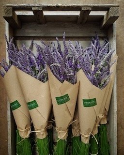 BUNCHES OF LAVENDER SM.jpeg