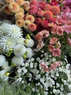 SUSTAINABLY-GROWN SUMMER FLOWERS 2.jpeg