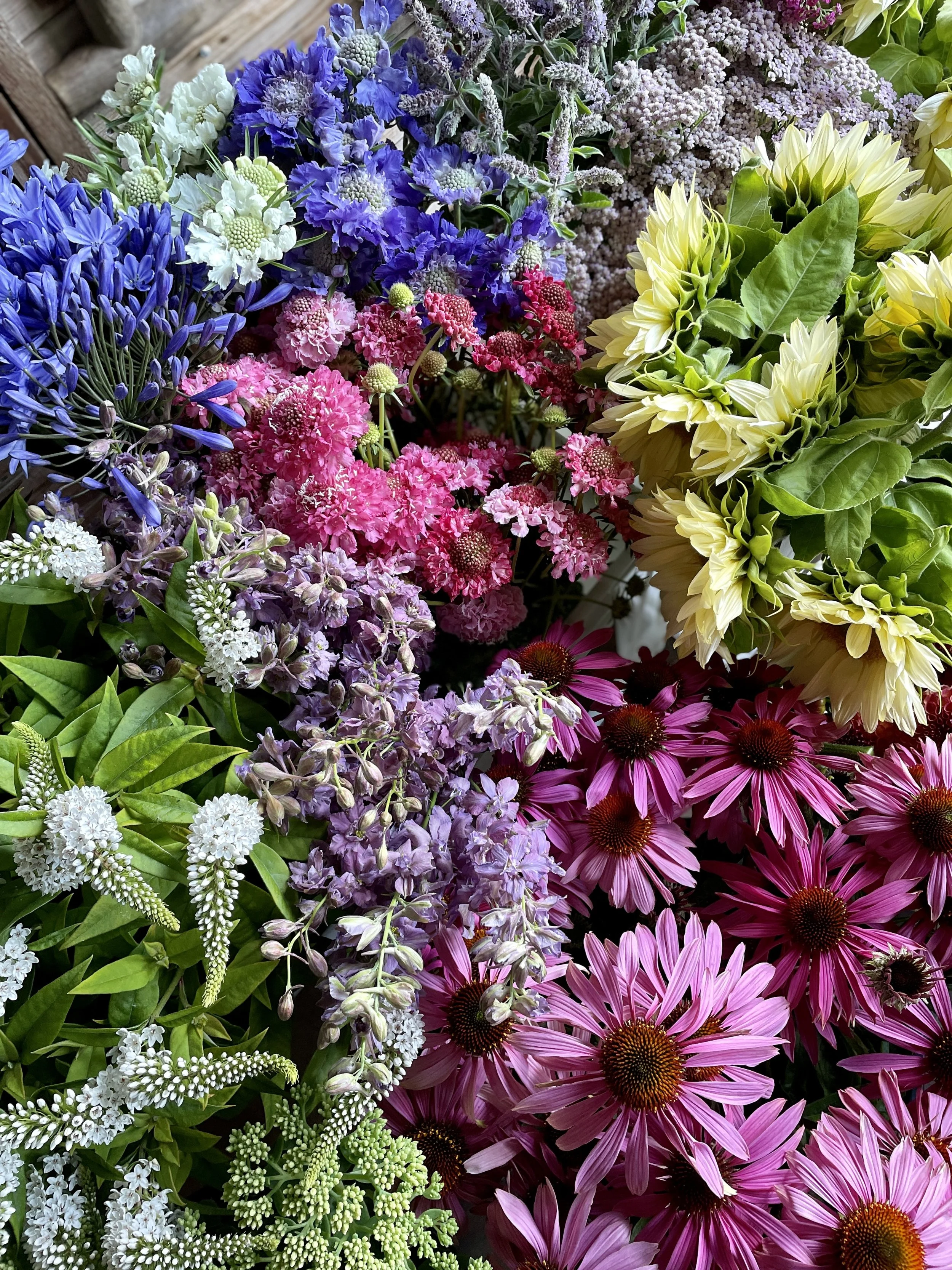 New Growers Coaching Group