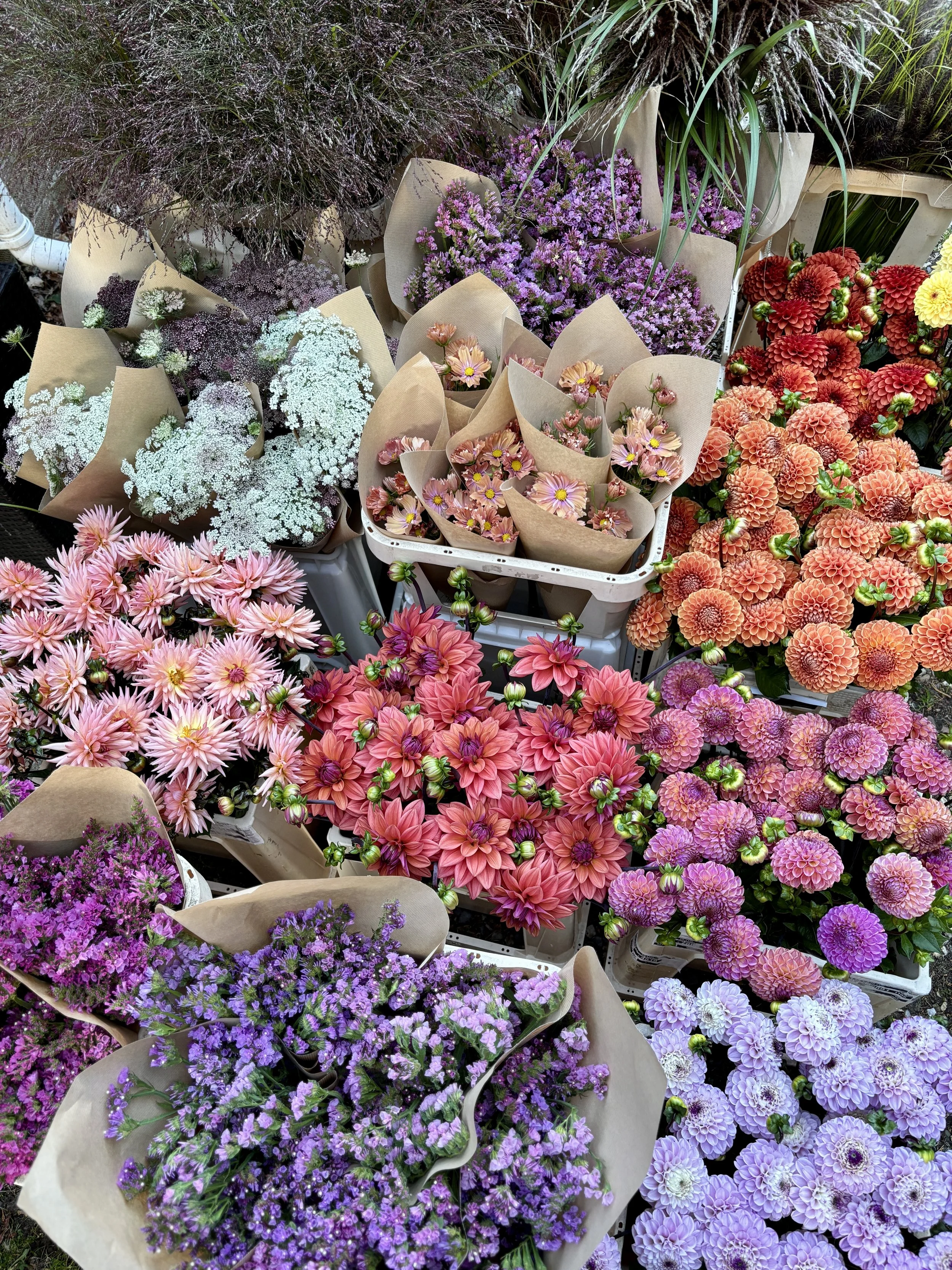 Wholesale Growers Group Coaching