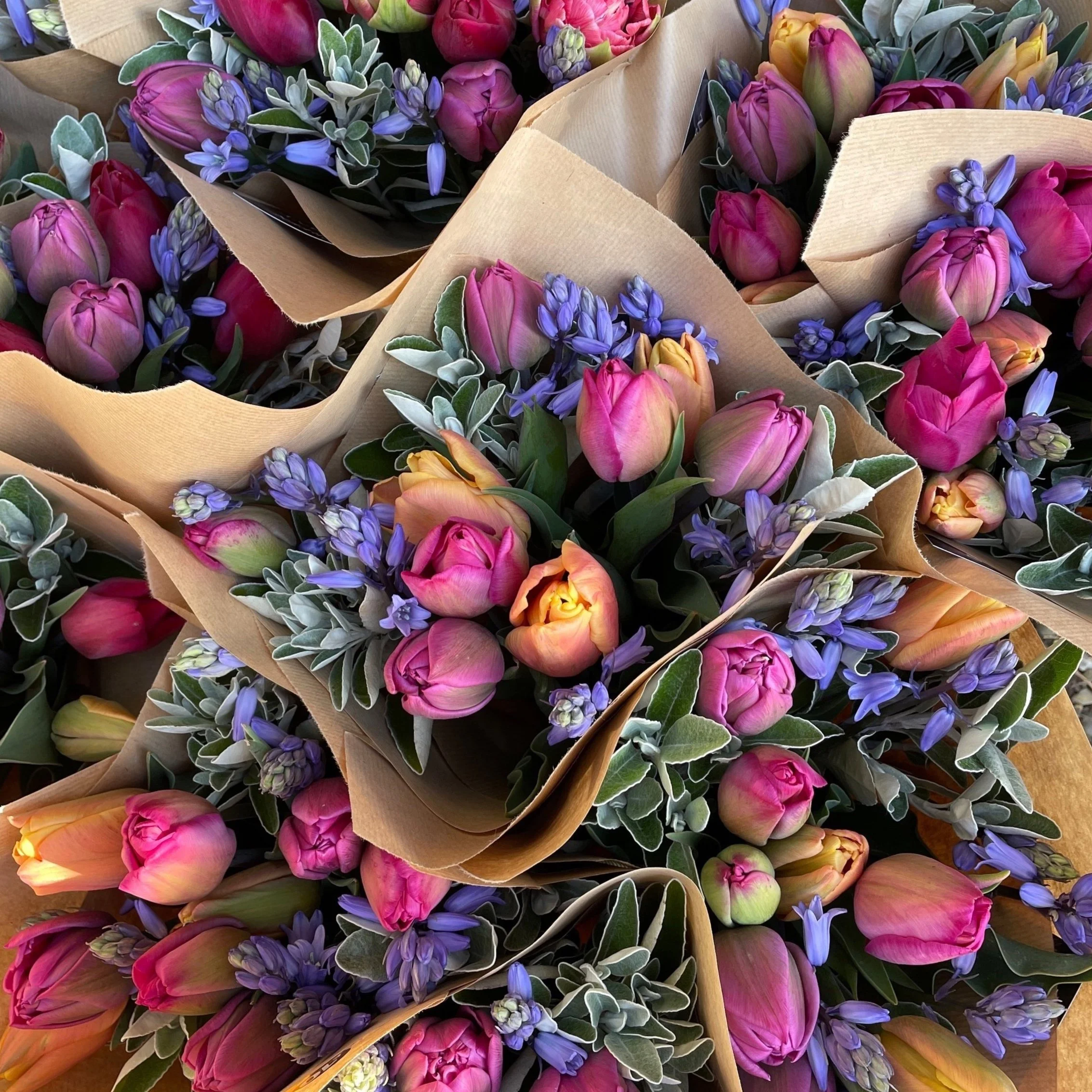 Flower Farming Business Masterclass — Forever Green Flower Company