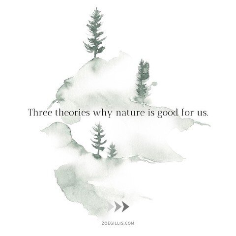 Nature is good for us! Whether it&rsquo;s because it&rsquo;s in our DNA as humans, or we get some biological effects from the air and plants, or it gives our brains a break from screens and helps us focus&hellip;we don&rsquo;t need science to tell us