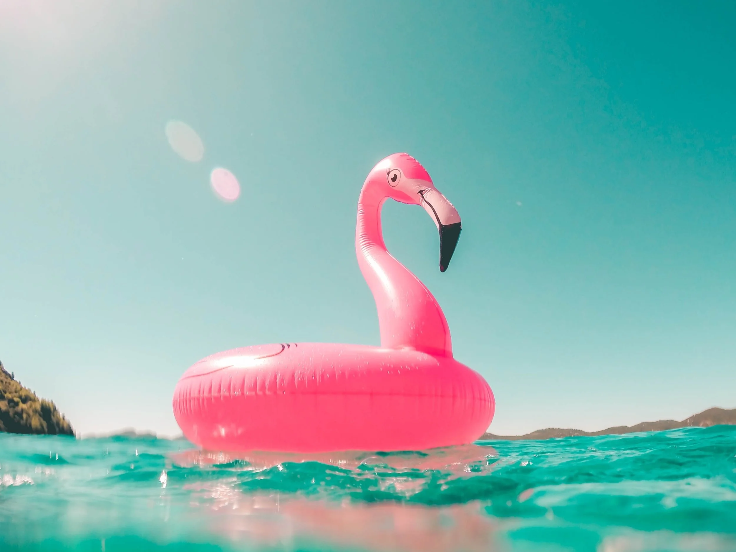 flamingo+float.jpg