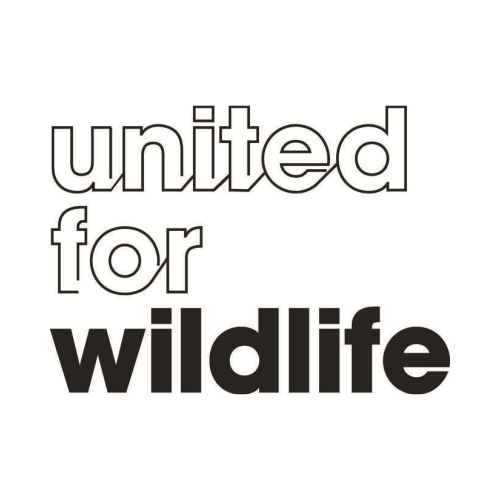 United for Wildlife - link