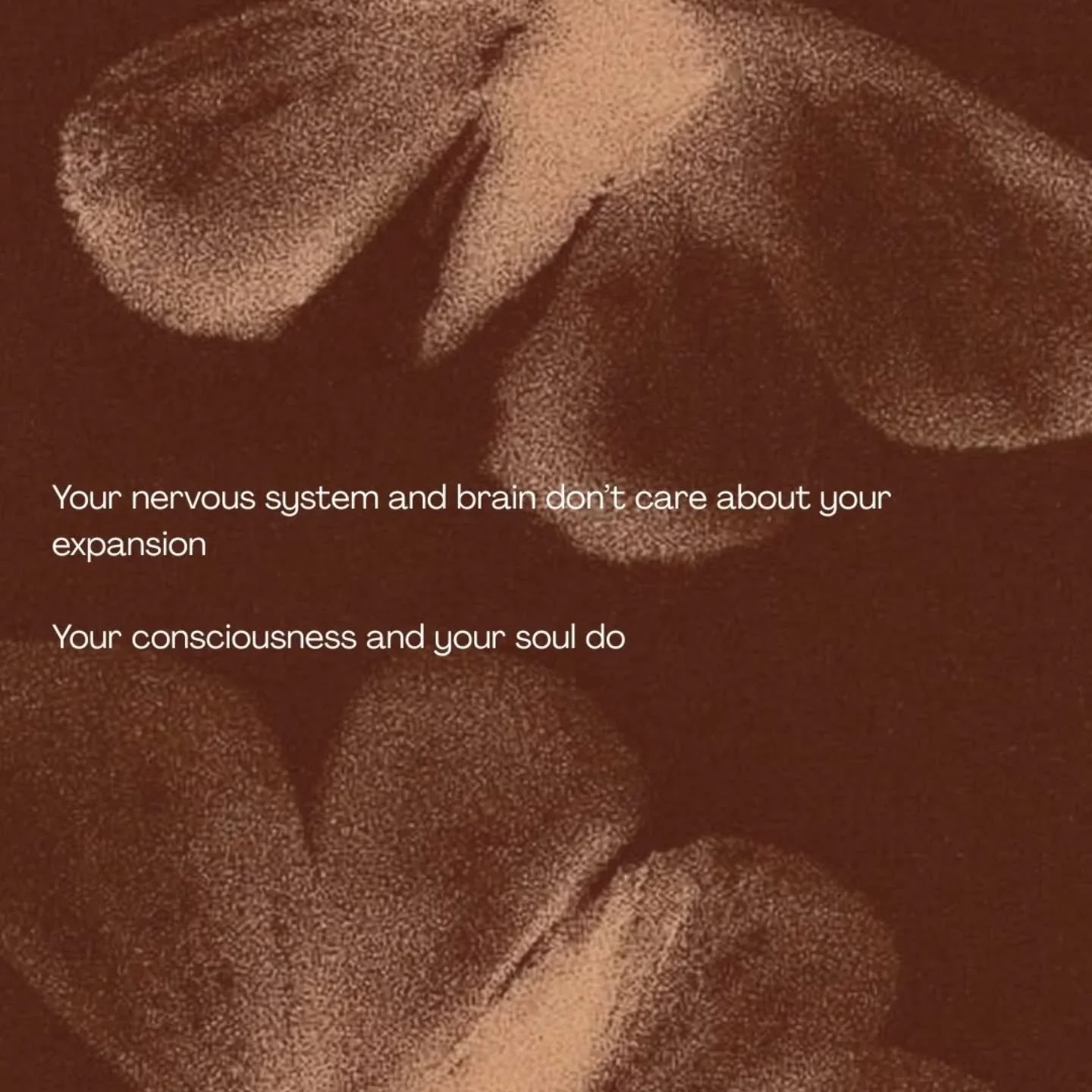 this week&rsquo;s felt very &ldquo;in-between.&rdquo;

so many of my clients are sitting in that space where things are changing, choices are being , and the next chapter is starting to take shape&hellip;

it&rsquo;s the cocoon phase&hellip; the slow