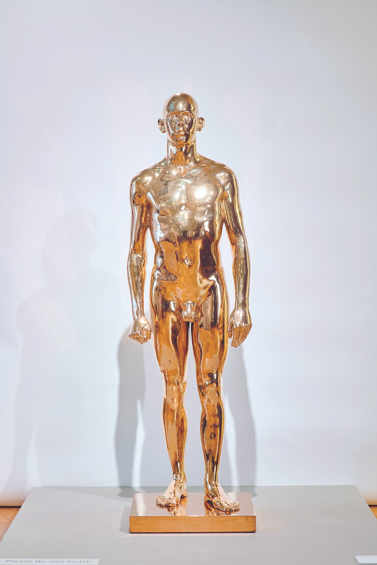 Portrait of a Yong Man Standing, Polished Bronze 1963-1983.jpg