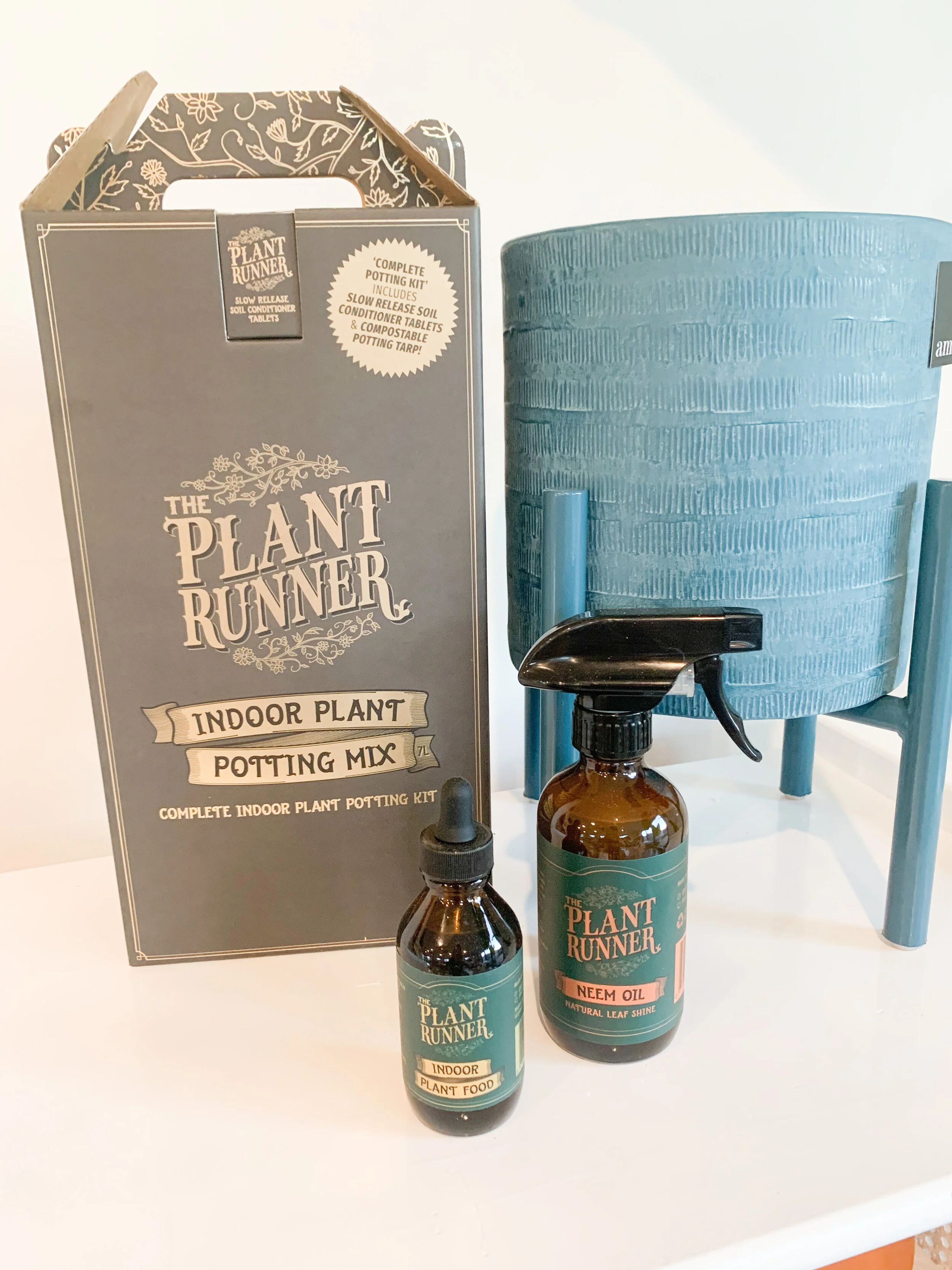 Indoor Plant Gift Pack 