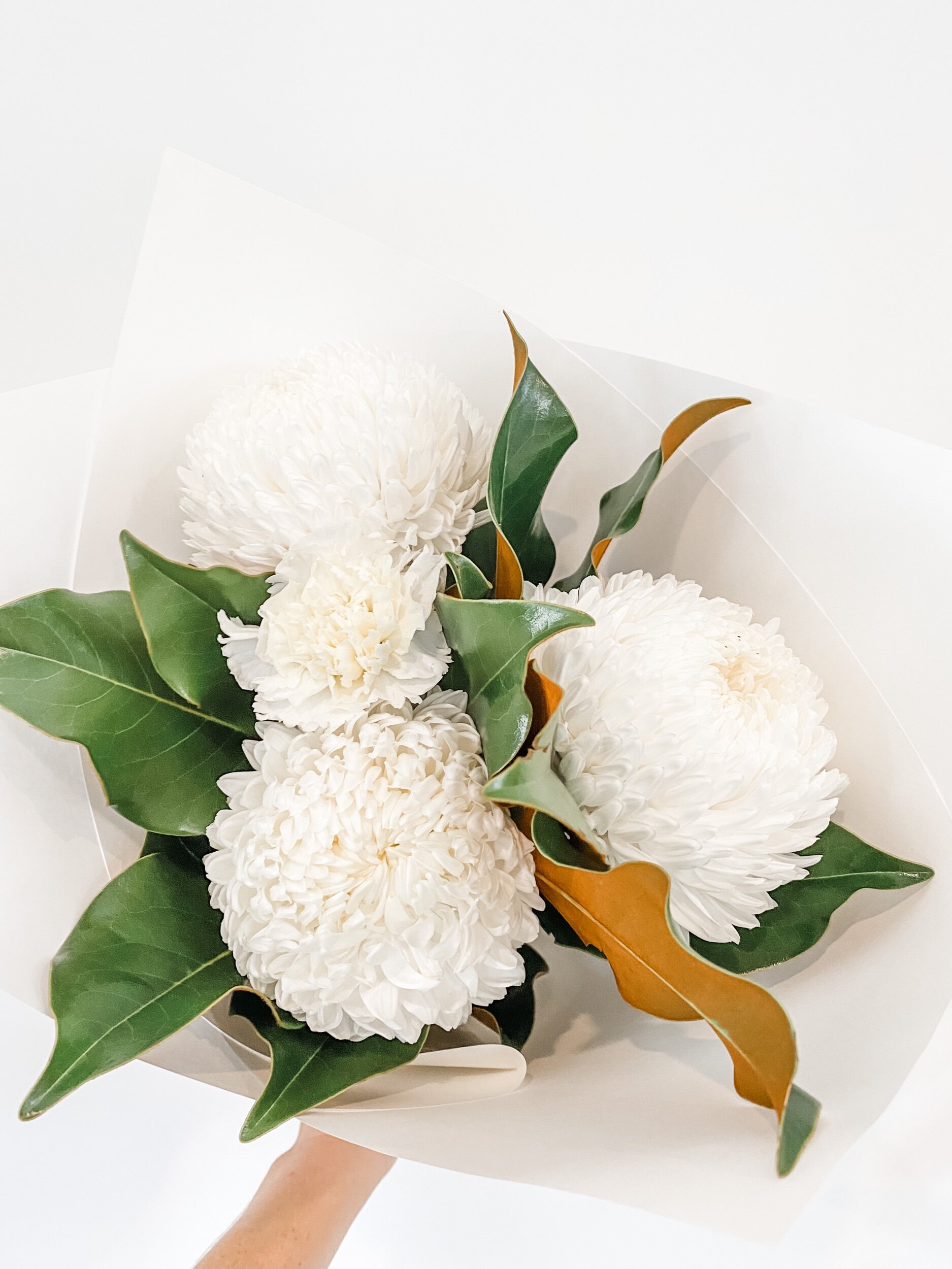 1B848C4D-C8FC-4BE9-8D07-F44B40C0956D