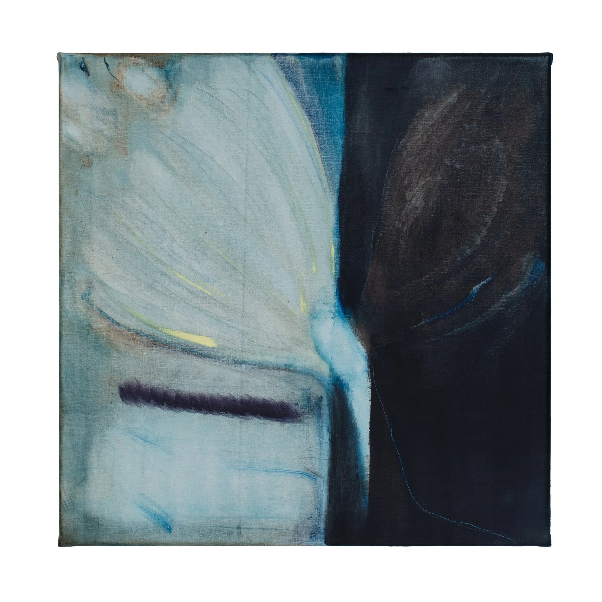 “wings” 60x60cm oil on canvas/2019
