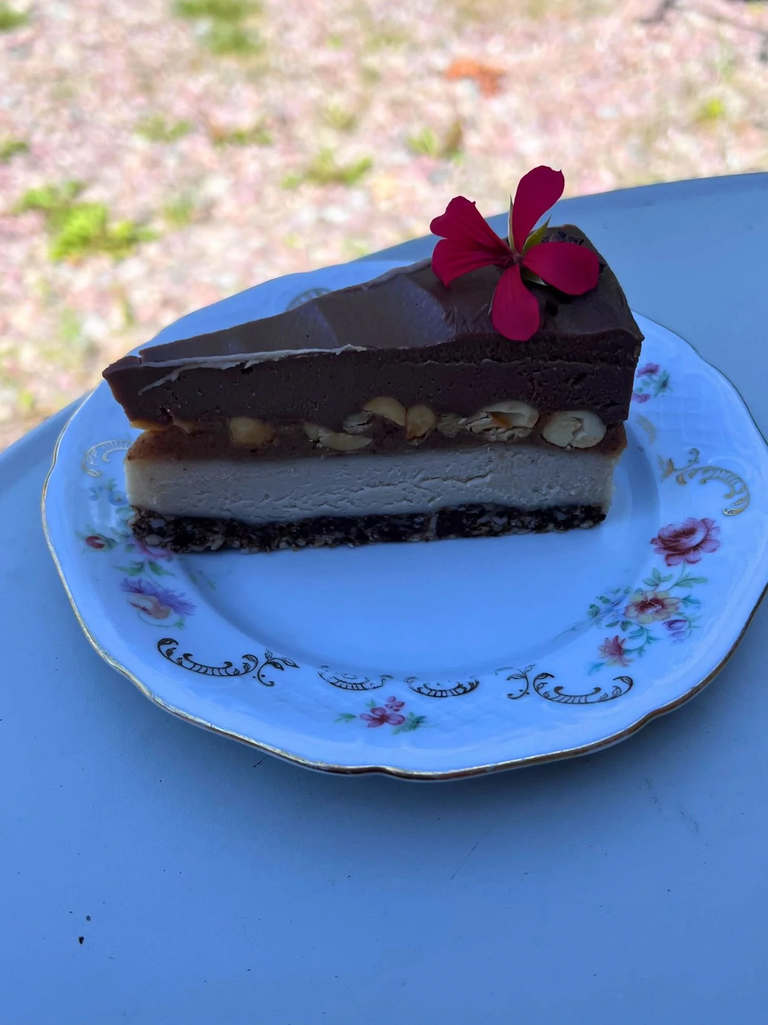 Open New Doors Bahnhof Raw Snickers Cake.jpg