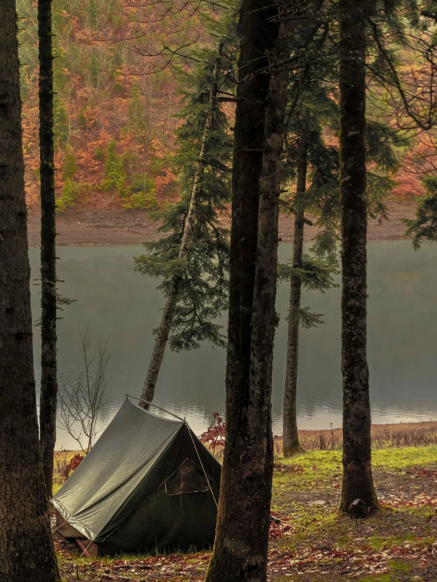 Camping Green Tent.jpg