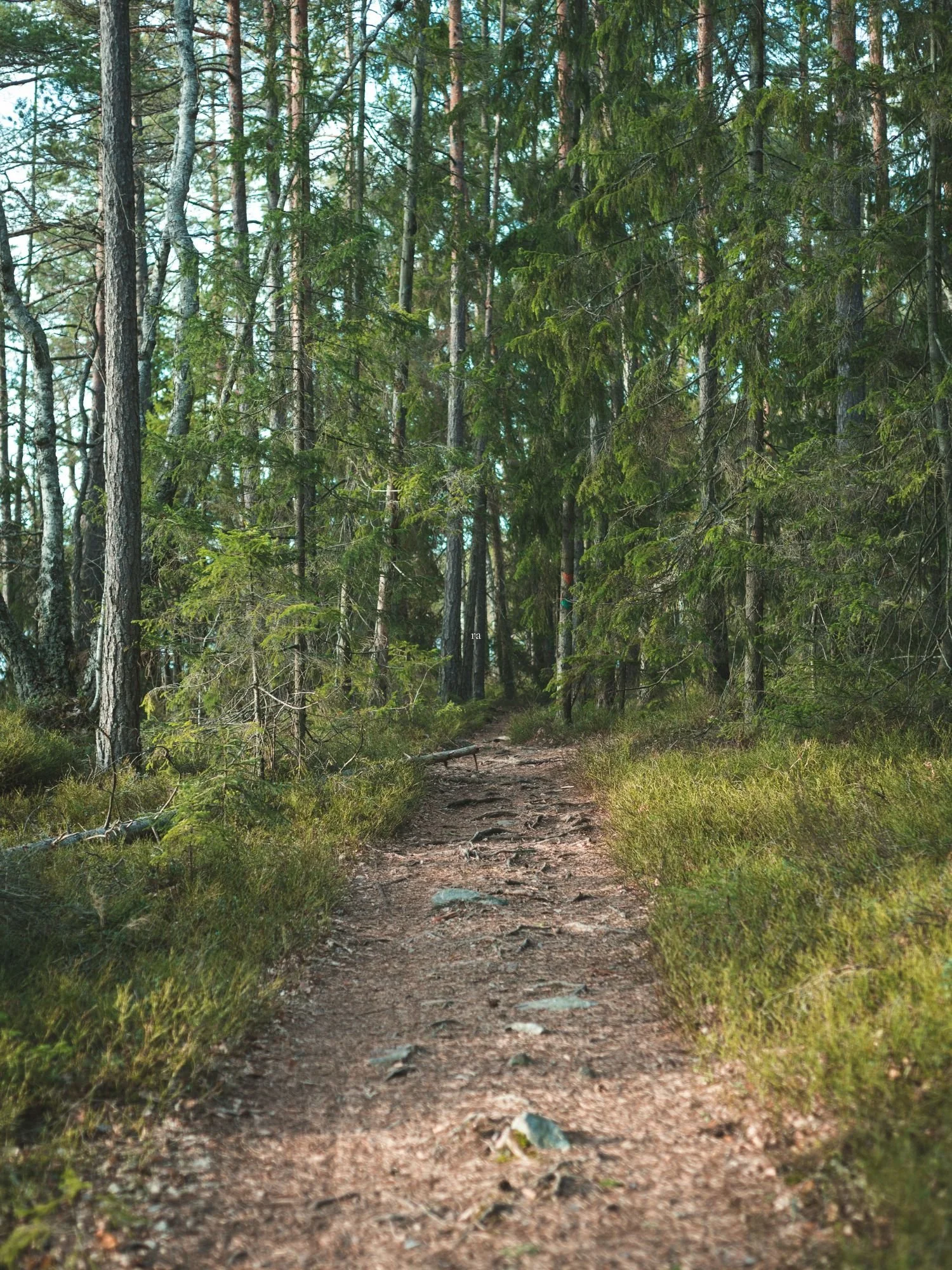 Sweden's Best National Parks