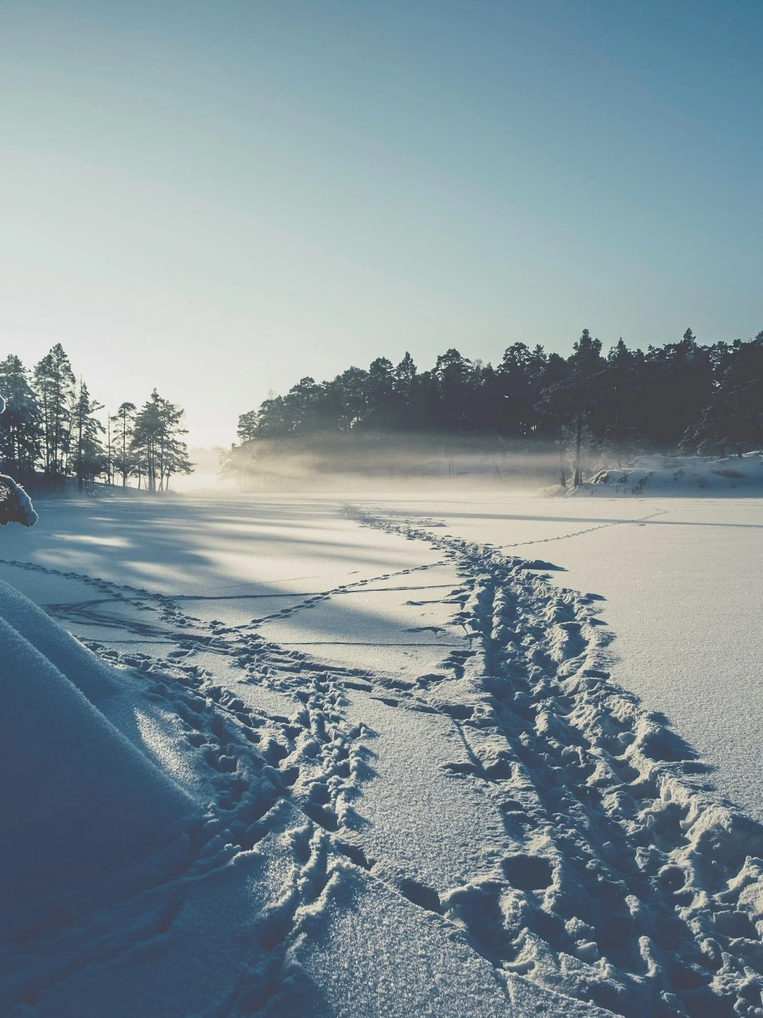A wide path of trampled footprints cuts through a thick layer of untouched snow covering a frozen lake in Tyresta National Park. The sun shines brightly from the left, casting long, dark shadows across the snow.