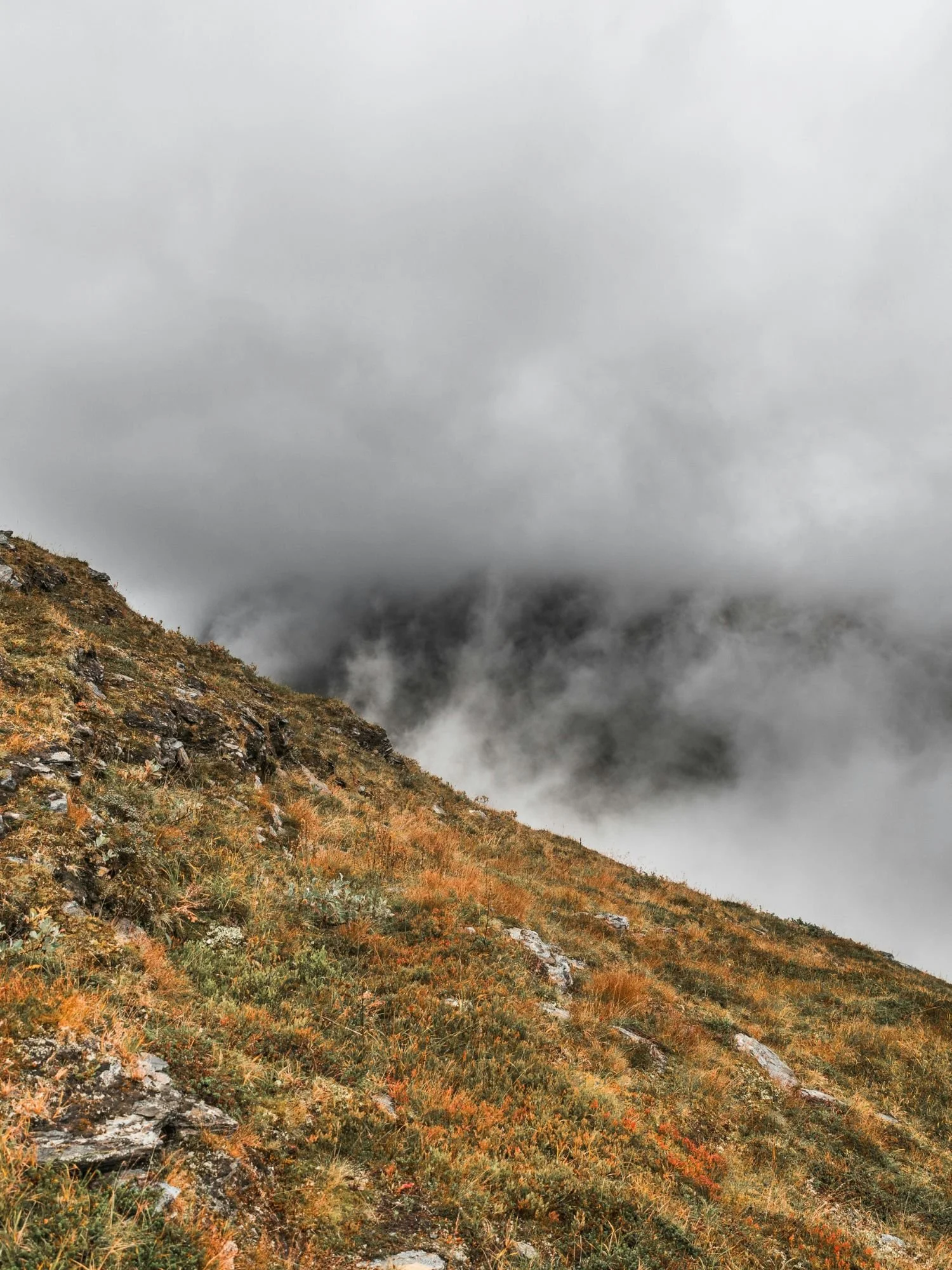 A grassy, rocky mountain slope in Sarek National Park angles upward from the bottom right to the middle left. The tundra vegetation shows hints of orange, yellow, and green alpine growth mixed with patches of grey stone.