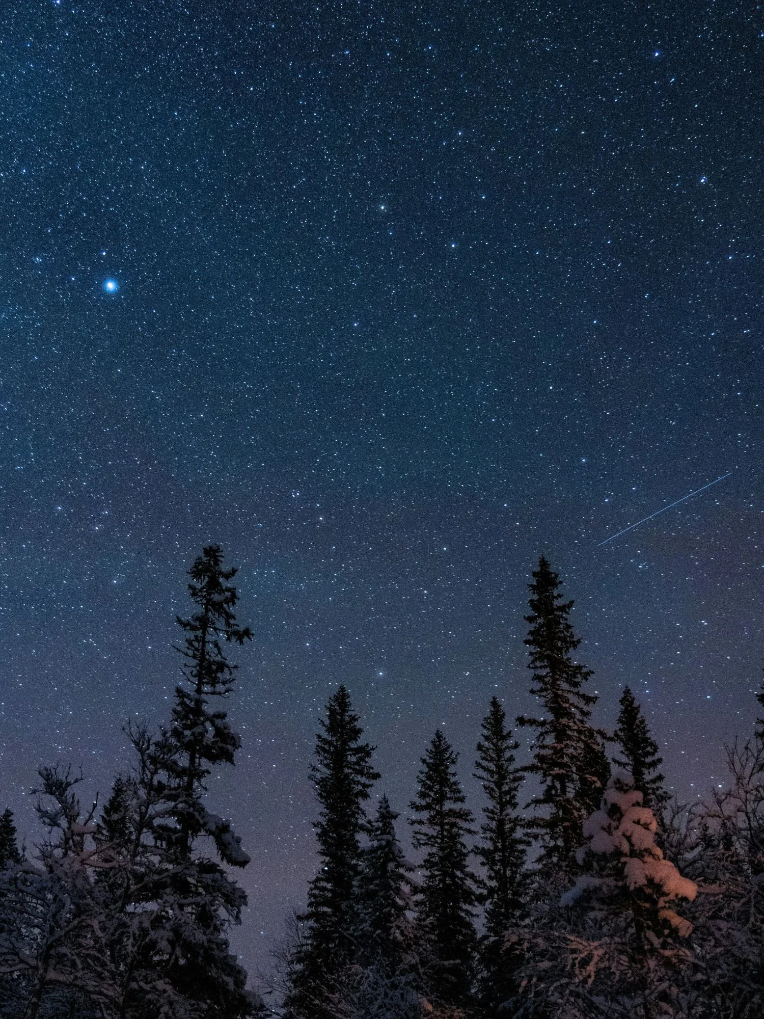 A brilliant night sky filled with countless stars above Fulufjället National Park. The deep blue sky features a bright, prominent star on the upper left and a faint, thin streak from a shooting star or satellite on the middle right.