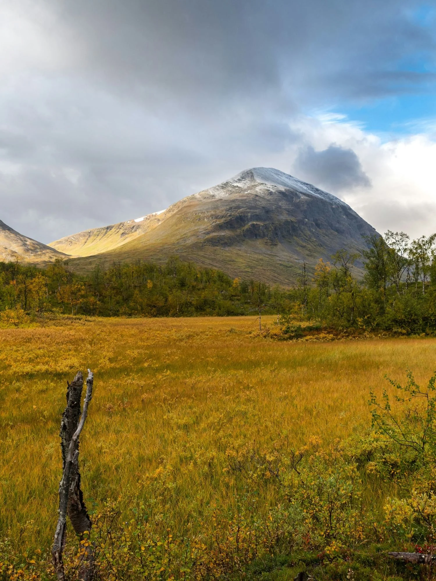 A vast autumn landscape in Sarek National Park features a prominent, rounded mountain peak dusted with light snow at its summit.