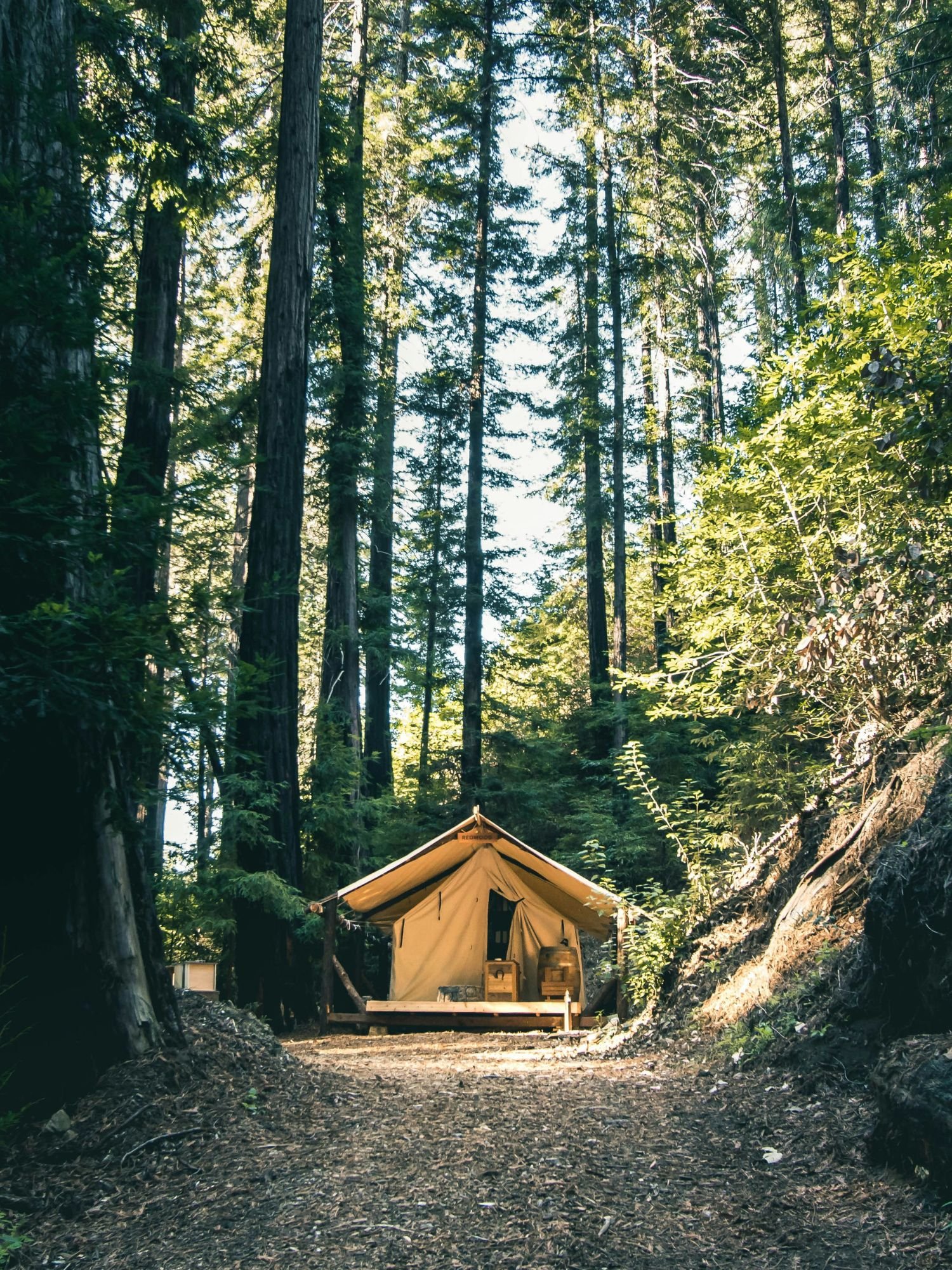 A tan canvas safari-style glamping tent sits on a raised wooden platform at the end of a dirt path in a dense forest. The tent has a pointed A-frame roof and its front flaps are open, revealing wooden furniture inside.