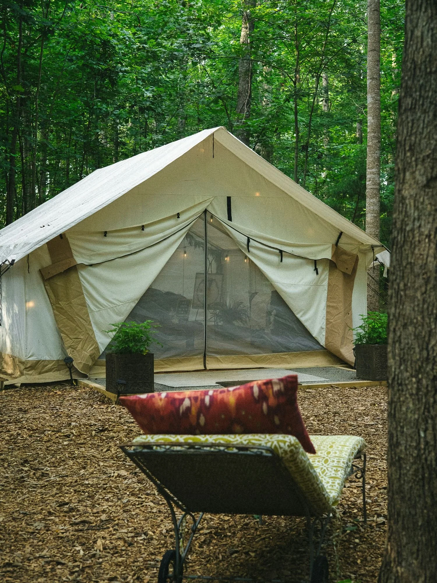A large white-and-tan canvas wall tent sits nestled in a lush, green forest clearing. The tent has a wide, triangular screened front door, flanked by two dark square planters with green foliage.