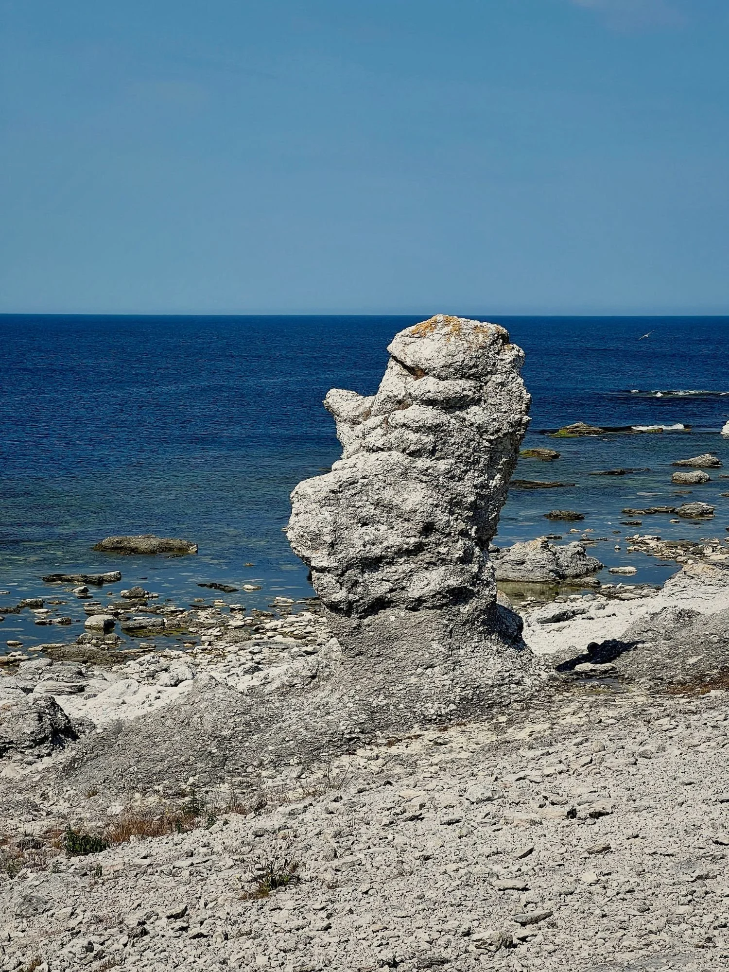 A large rauk (limestone stack) on a rocky shoreline at Langhammars Nature Reserve.