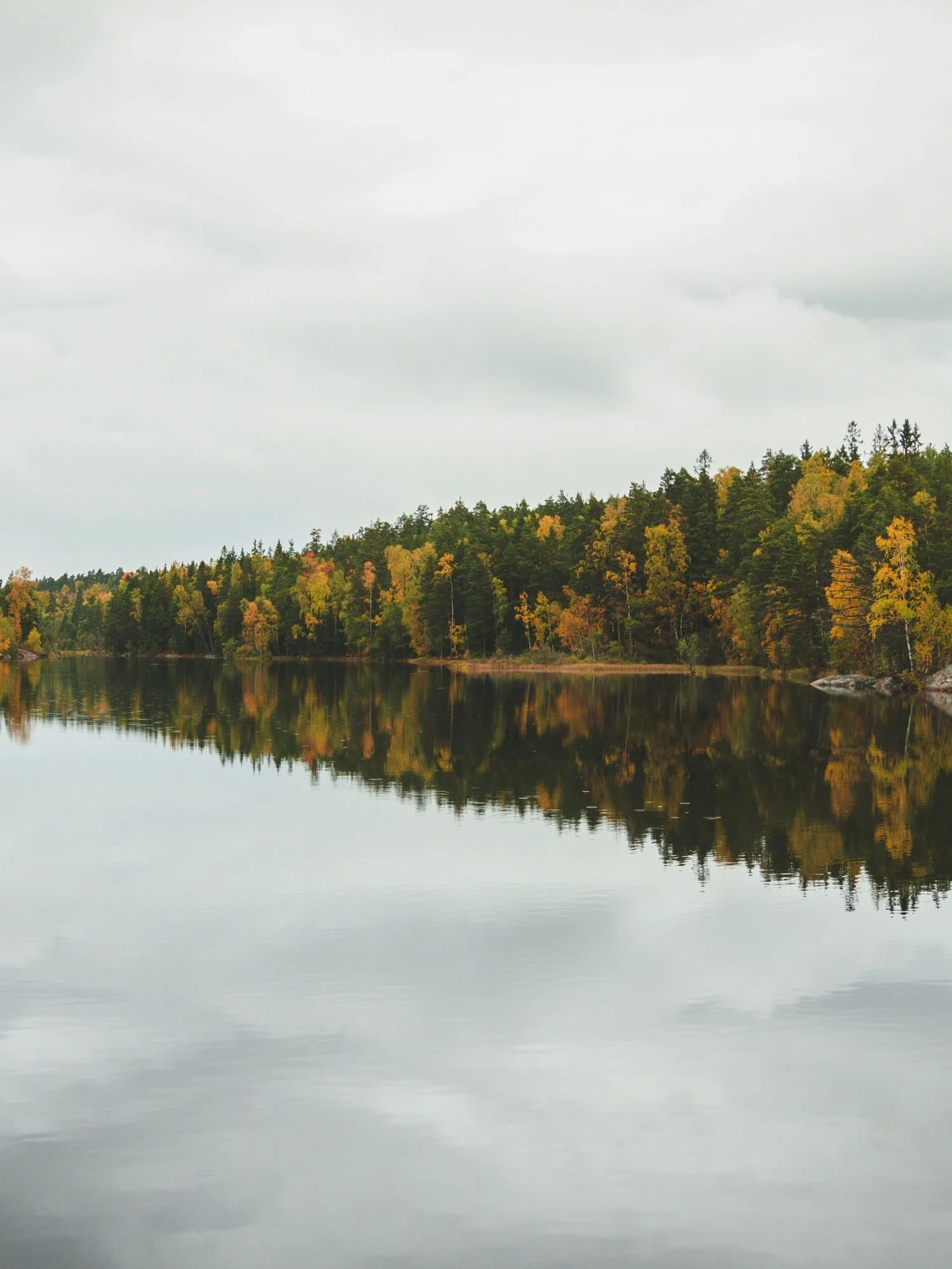 A calm, glassy lake in Tyresta National Park perfectly mirrors a dense forest shoreline under an overcast, grey sky. The forest features a mix of green evergreens and deciduous trees showing autumn colors of vibrant yellow and orange.