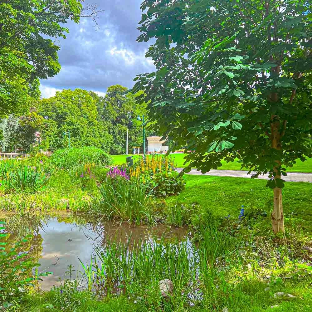 Escape the Heat with a Coolcation in Sweden — Hipster Sweden