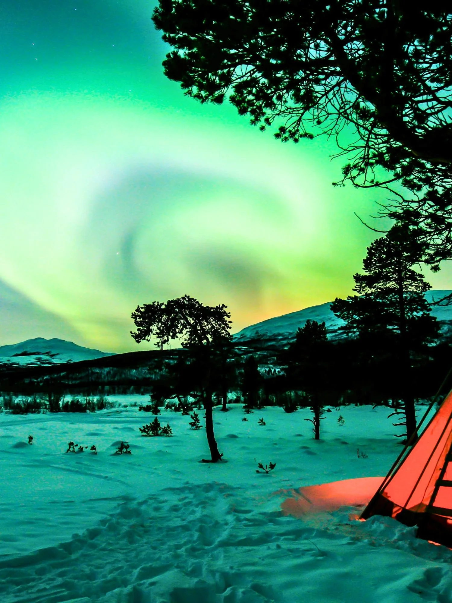 A glowing, bright orange tent sits pitched on a snowy field in Abisko National Park under a dramatic night sky filled with the northern lights.