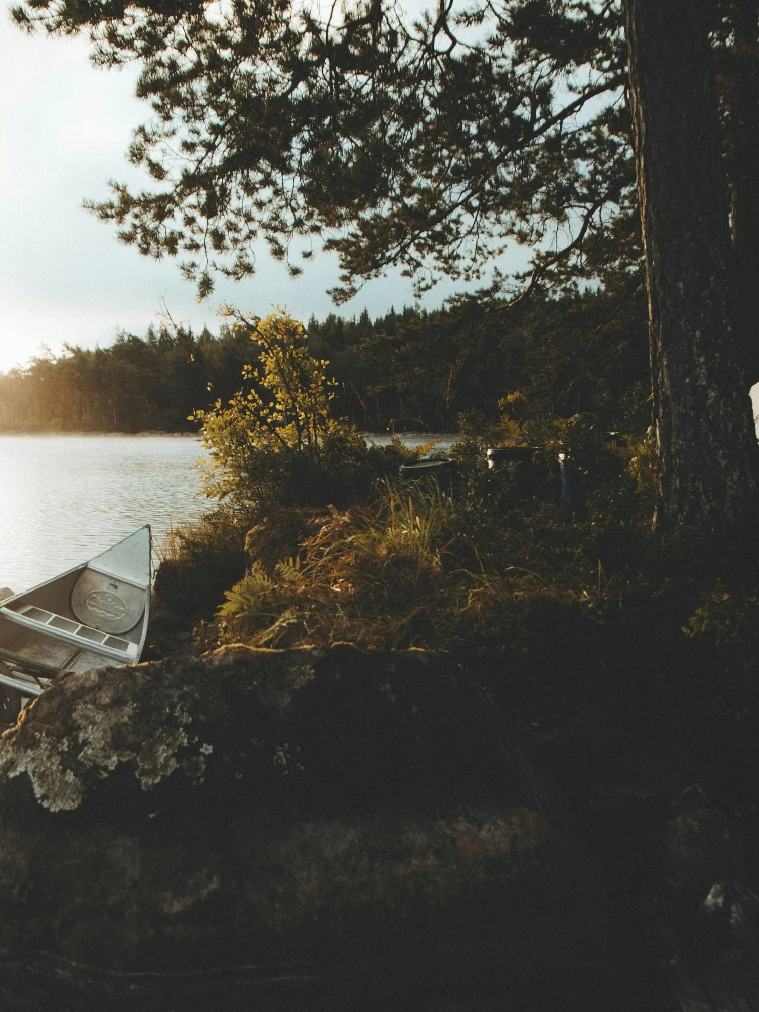 An aluminum canoe is pulled up along a grassy, rocky shoreline next to a calm lake during a misty sunrise. Large, moss-covered boulders sit in the foreground, with low green bushes and grasses lining the bank.