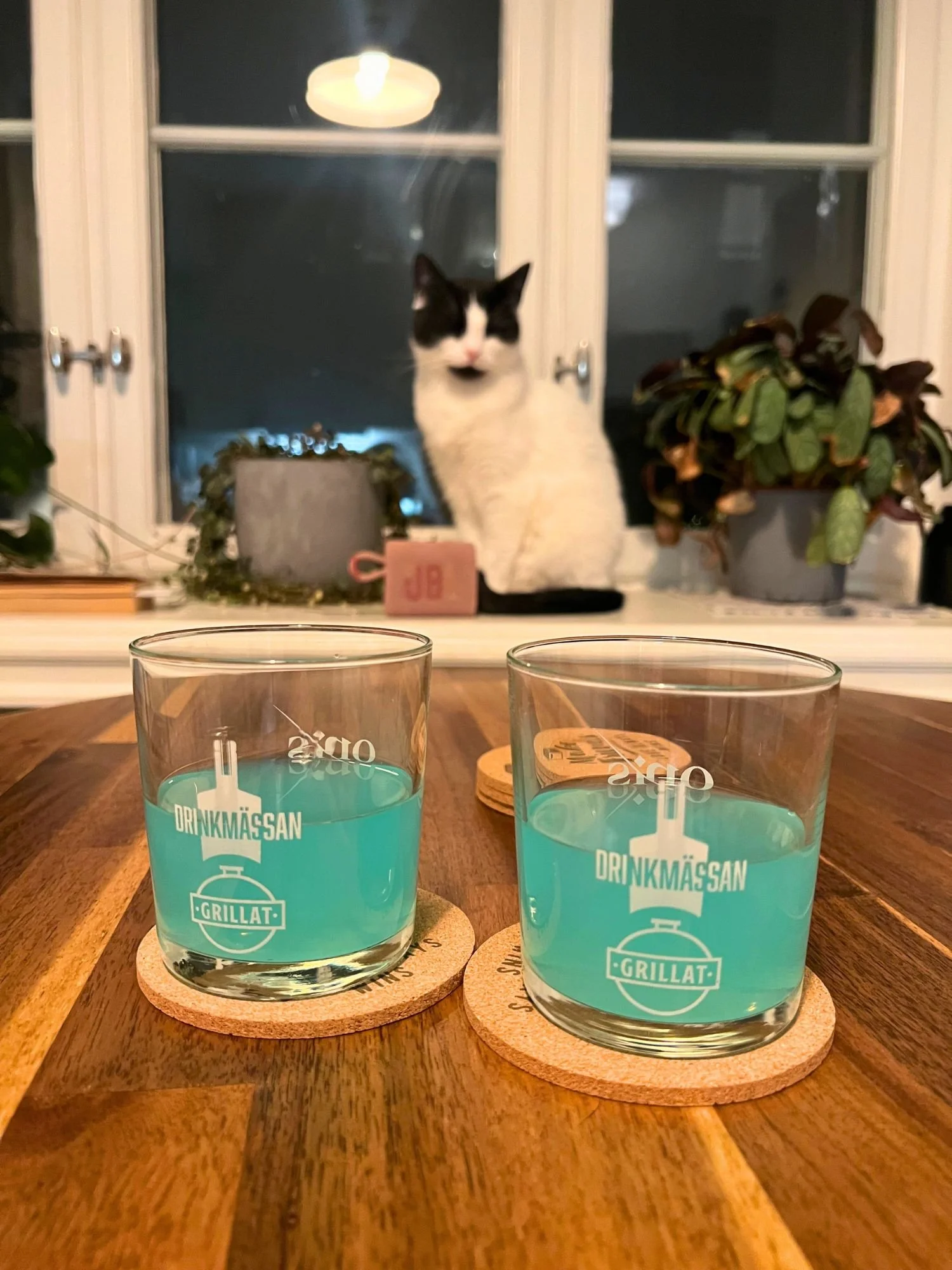 Two glasses of light blue cocktails on coasters on a wooden table, with a black-and-white cat sitting by a window in the background.