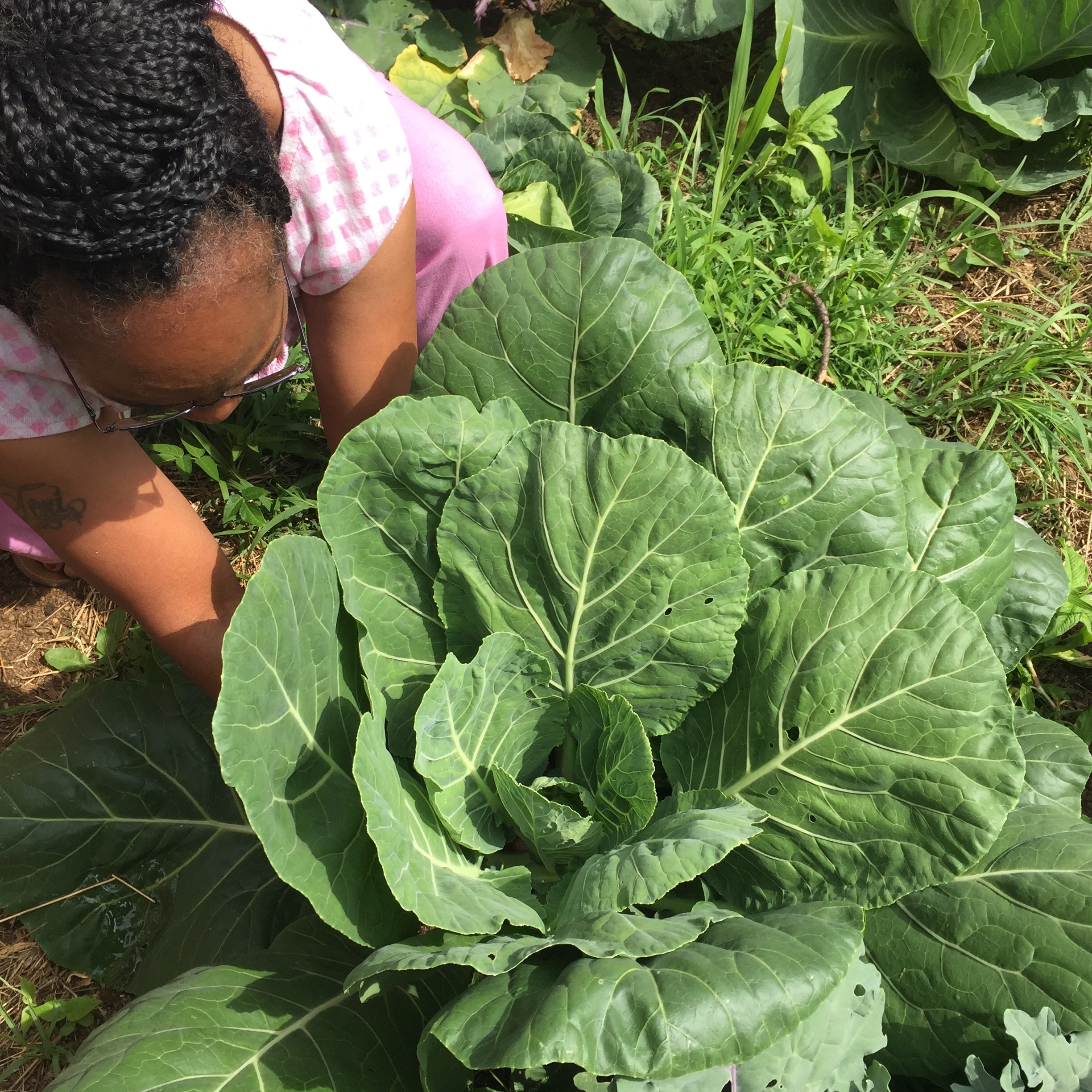 WOMAN+PLANTING.jpg