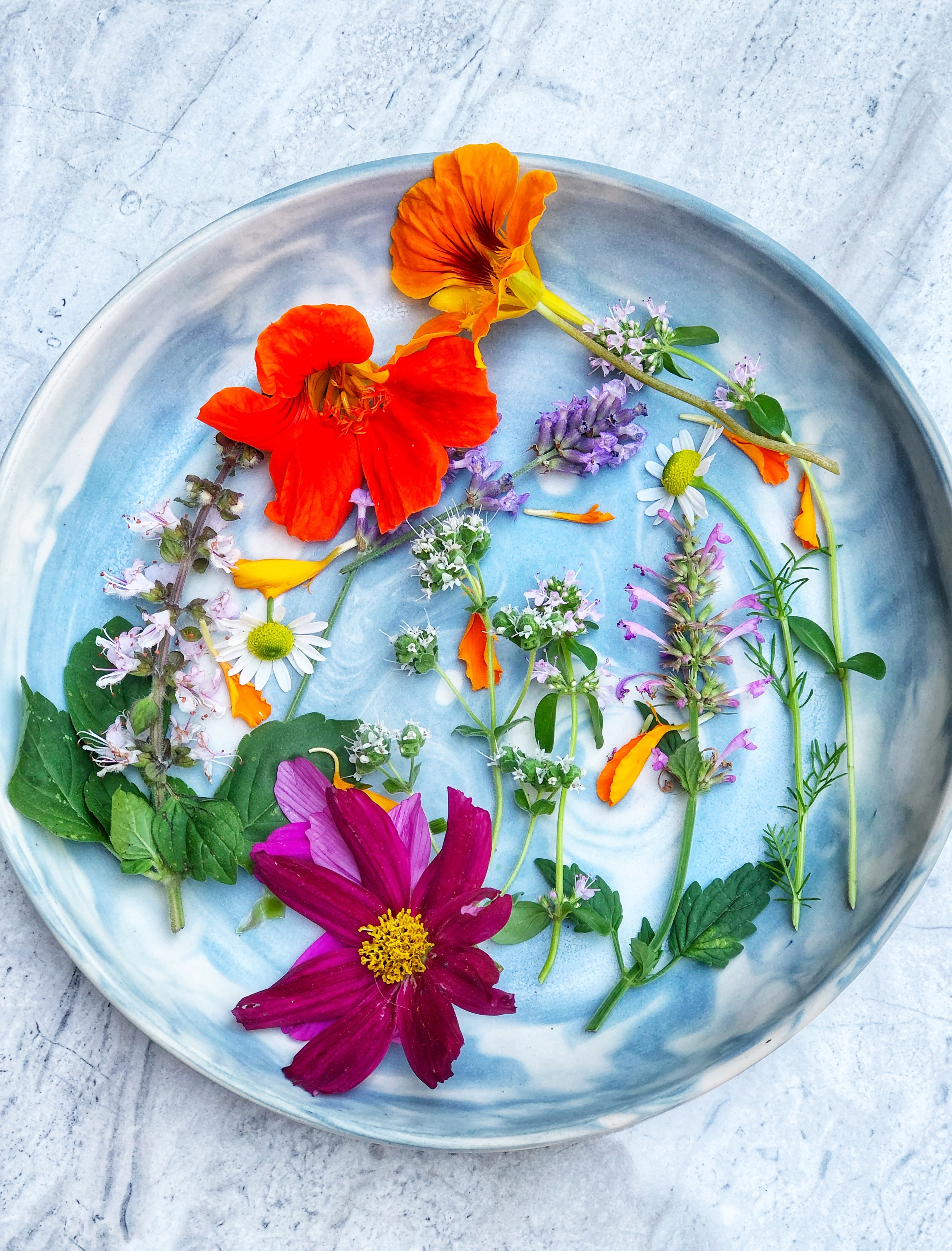 Guide to Edible Flowers with Garden Party TO — Hello Fran