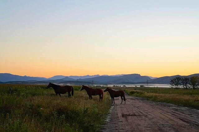 Early morning 
https://www.estanciapampagrande.org 
#estanciapampagrande #pampagrande #caballos #sunrise #argentina #argentina🇦🇷