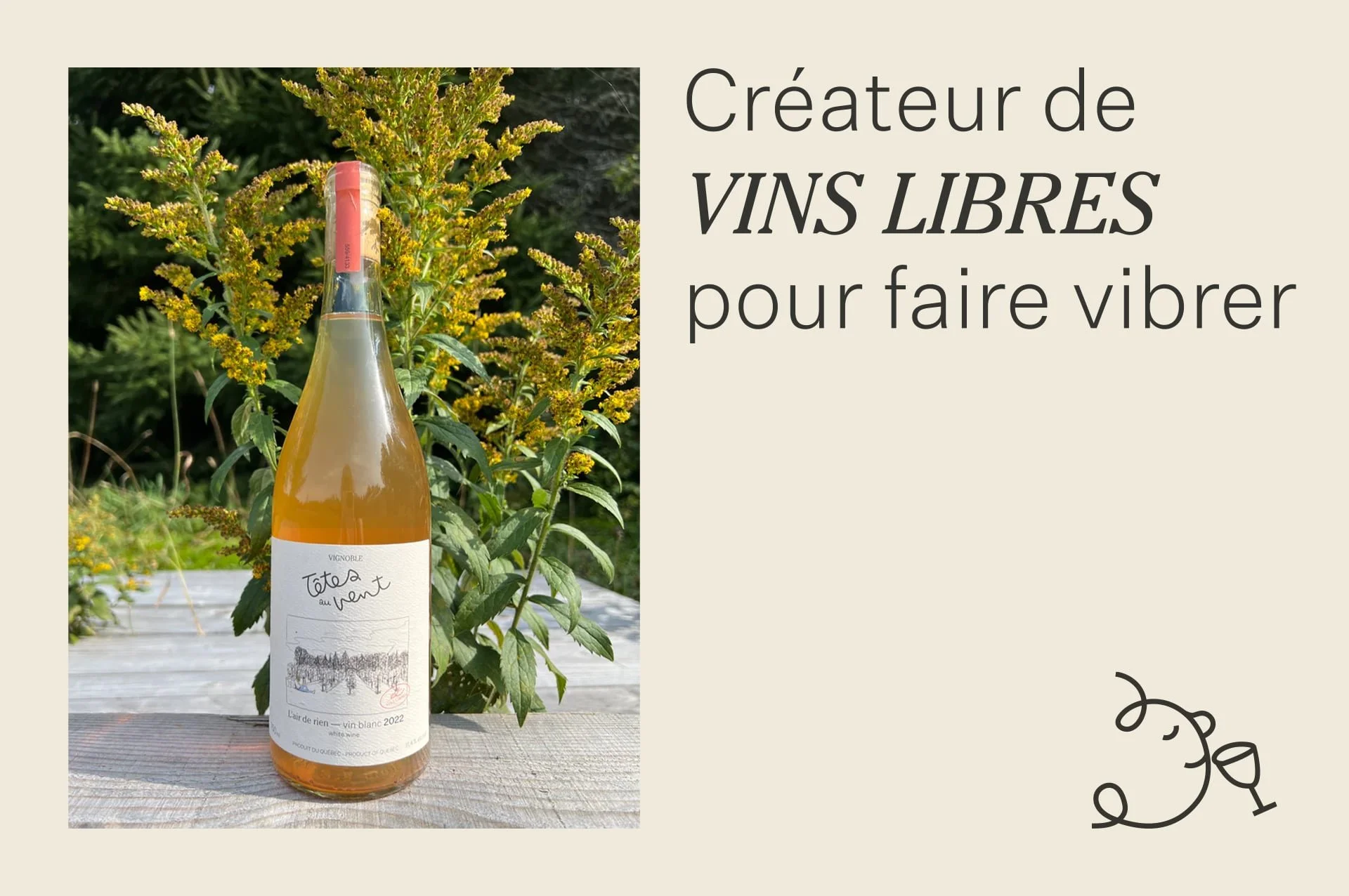 Vignoble Têtes au vent_1.jpeg