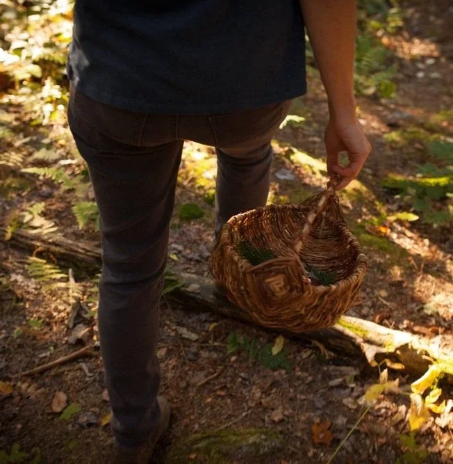 L'atelier de cueillette