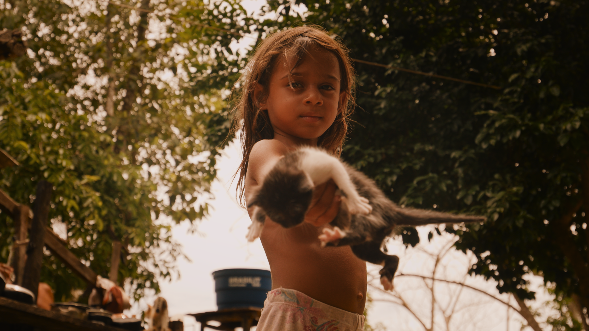 Réunir - L’Ère du feu : 21 jours en Amazonie