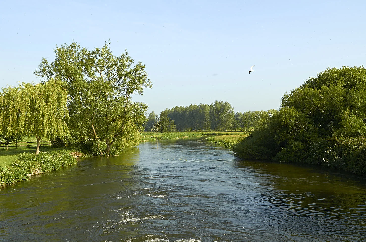 Fishing in the River Avon