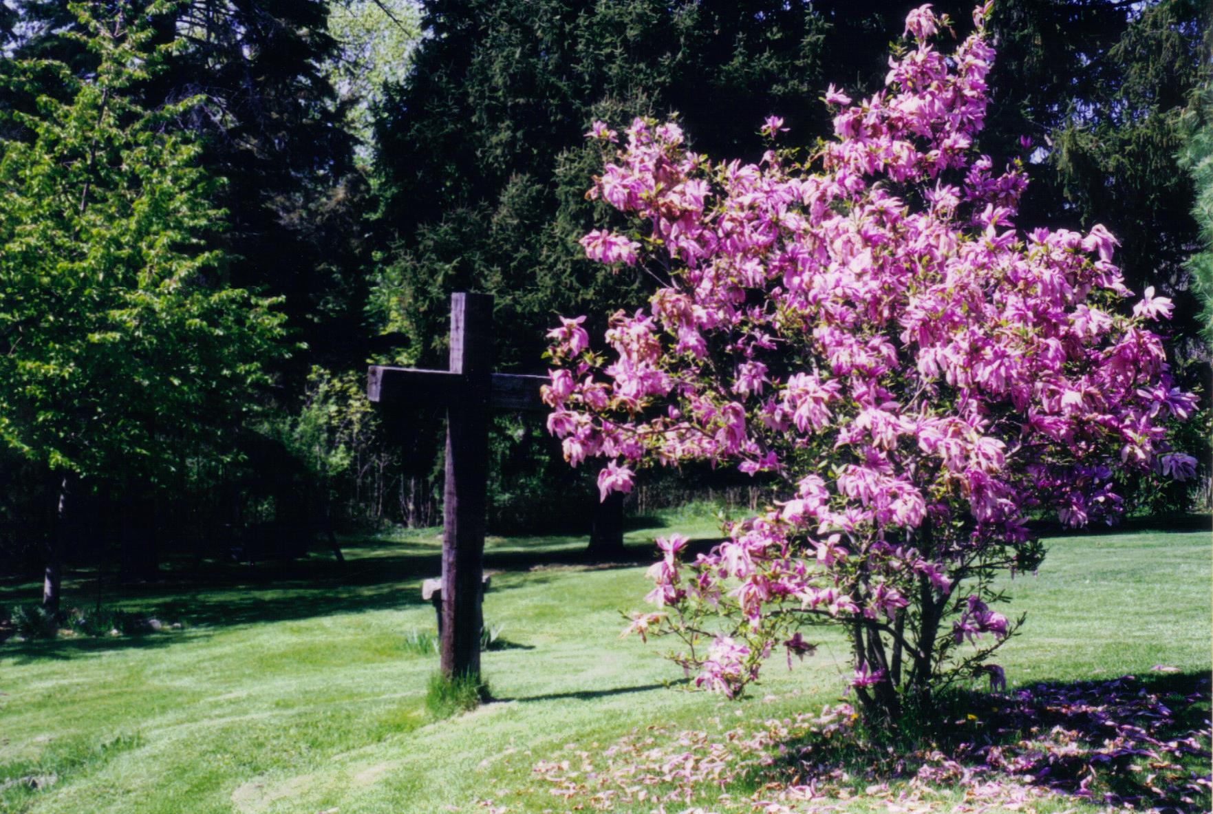 Alma - outdoor Stations and pink flowers.jpeg