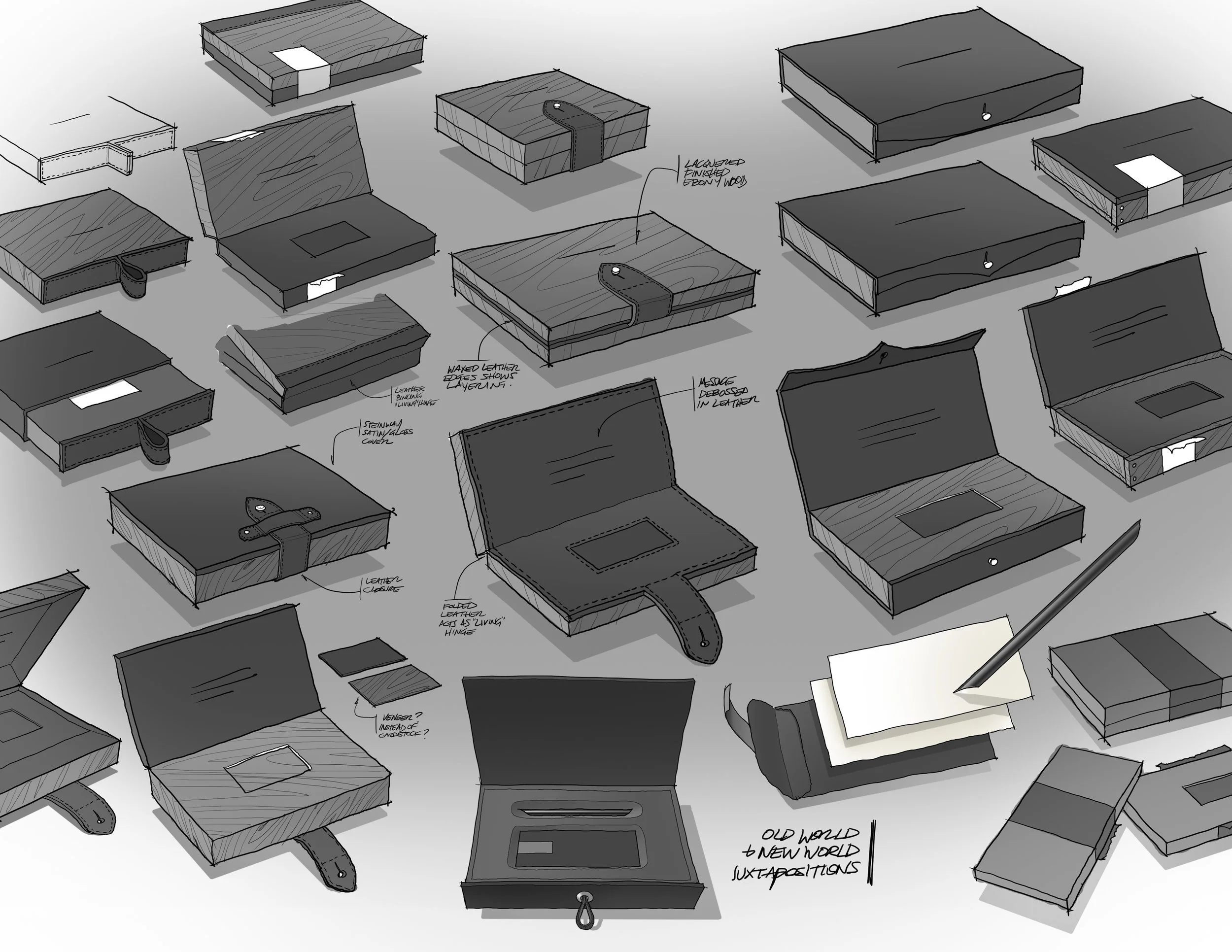 Bento_sketch compilation.jpg