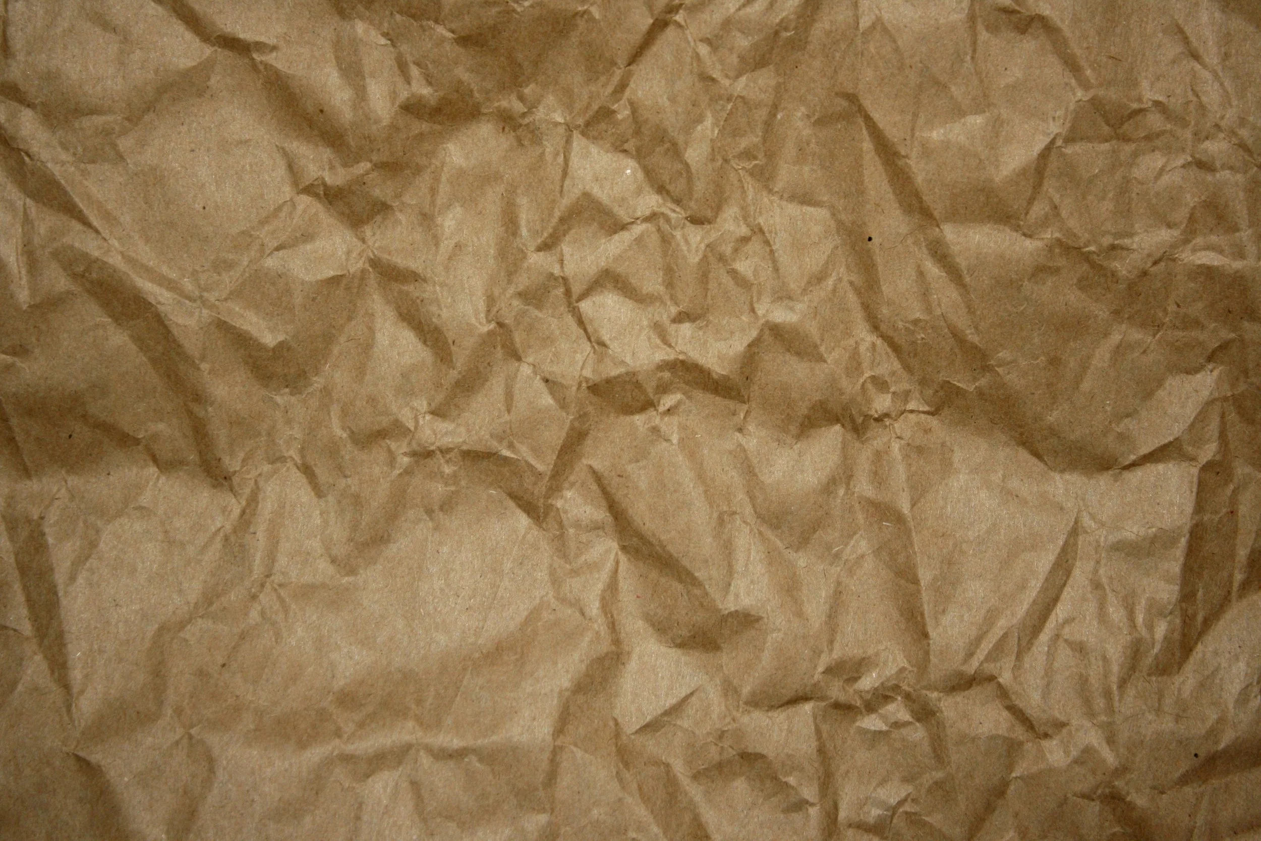 Brown Baggin Lunch Bible Study