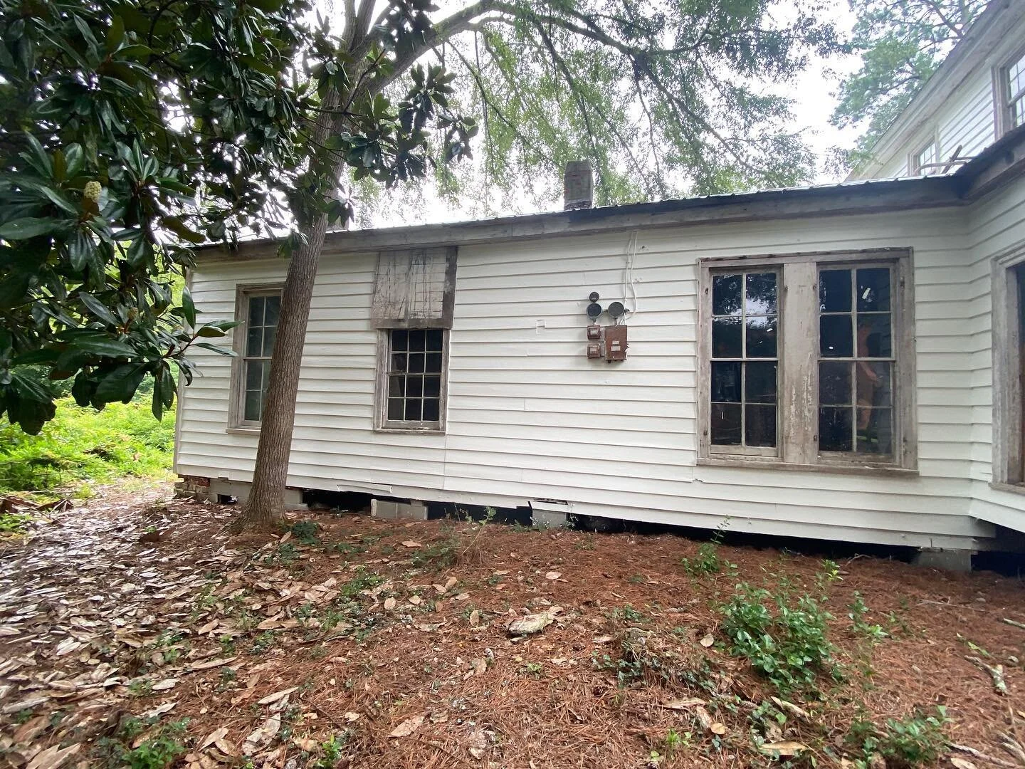 Halifax Progress 2.jpg