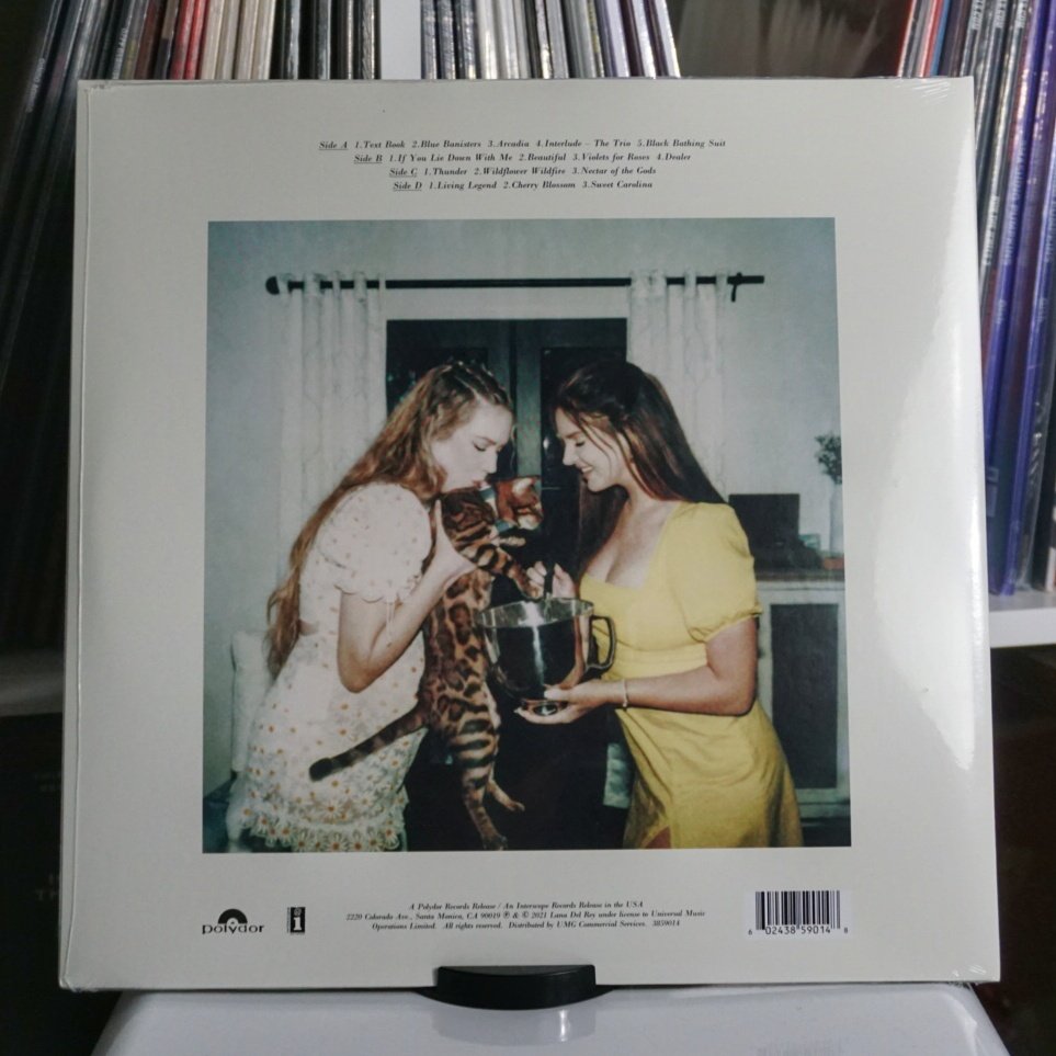 Lana Del Rey - Blue Banisters (2LP)