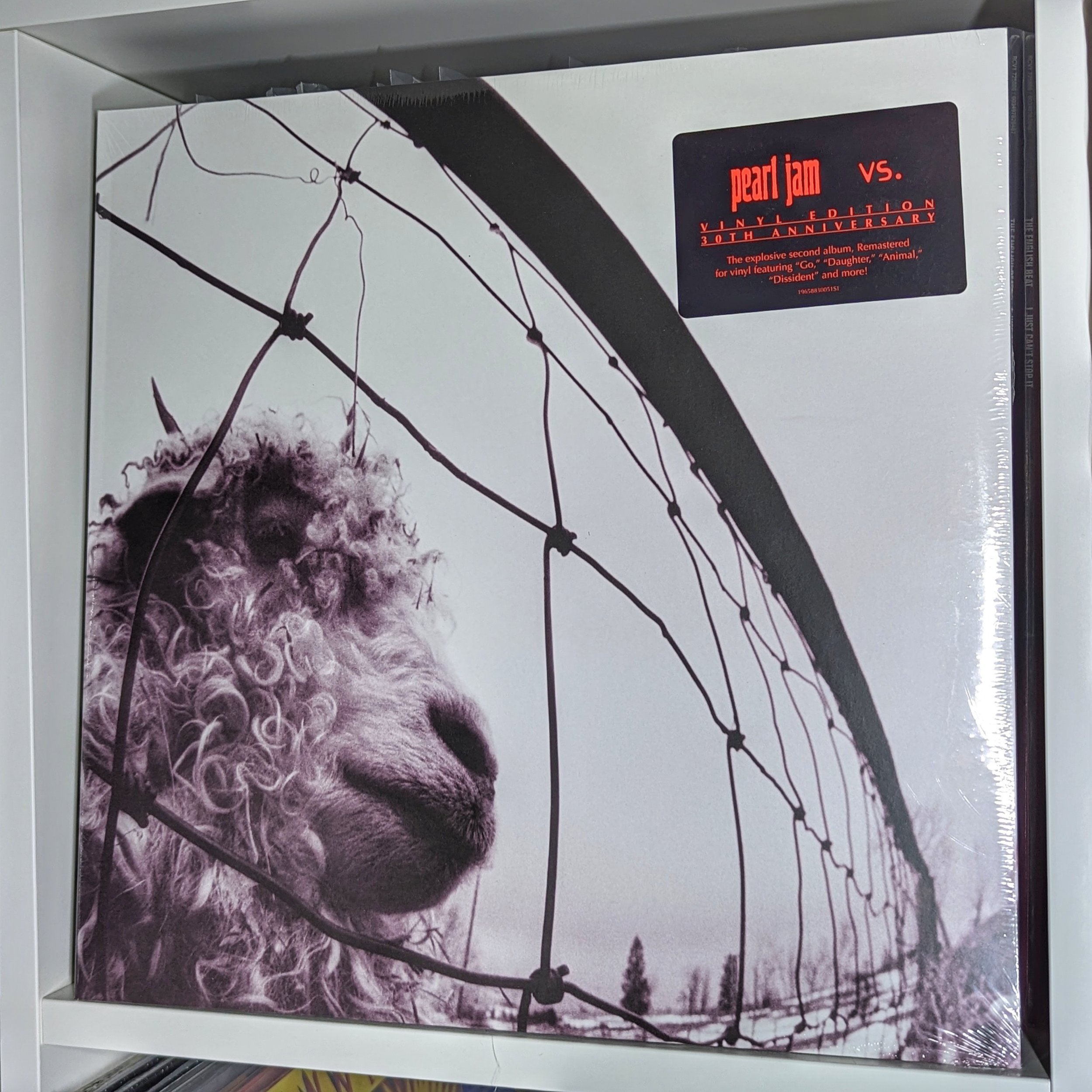 Pearl Jam - VS. (30th anniversary) (2LP/180g/45rpm)