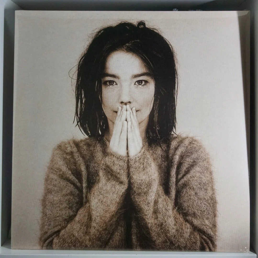 Björk - Debut (black vinyl) — Phantom Squid Records