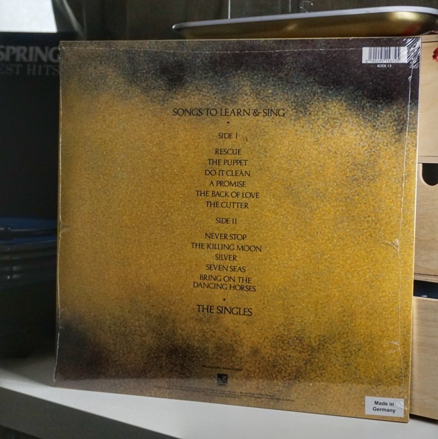 Echo & the Bunnymen - Songs to Learn & Sing