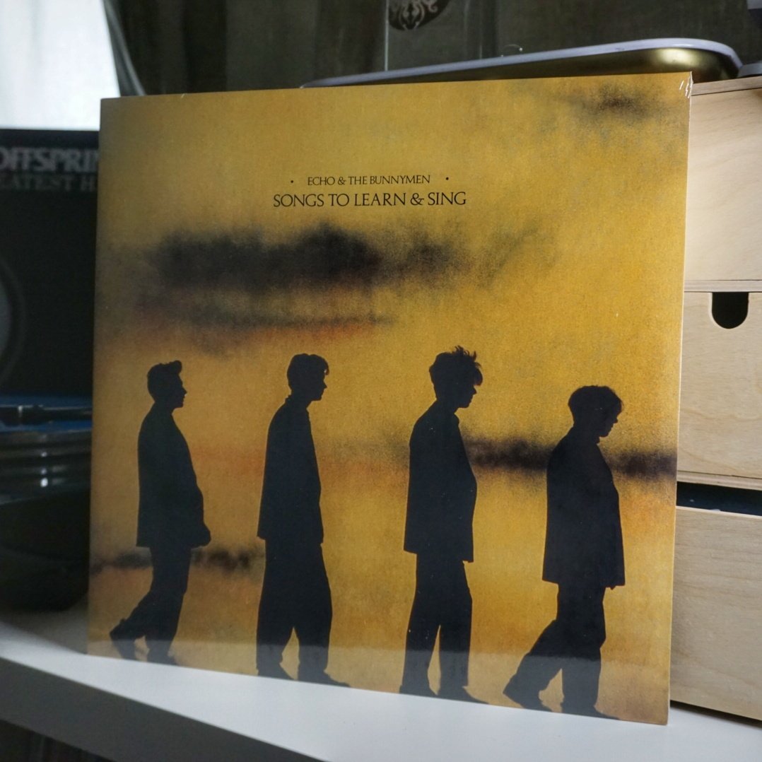Echo & the Bunnymen - Songs to Learn & Sing