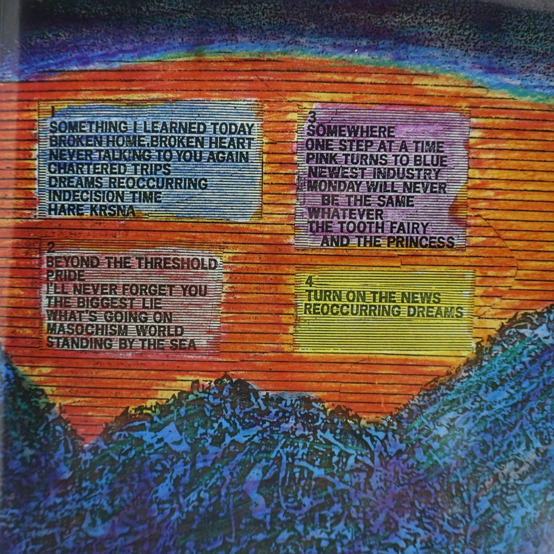 Hüsker Dü - Zen Arcade (black vinyl)