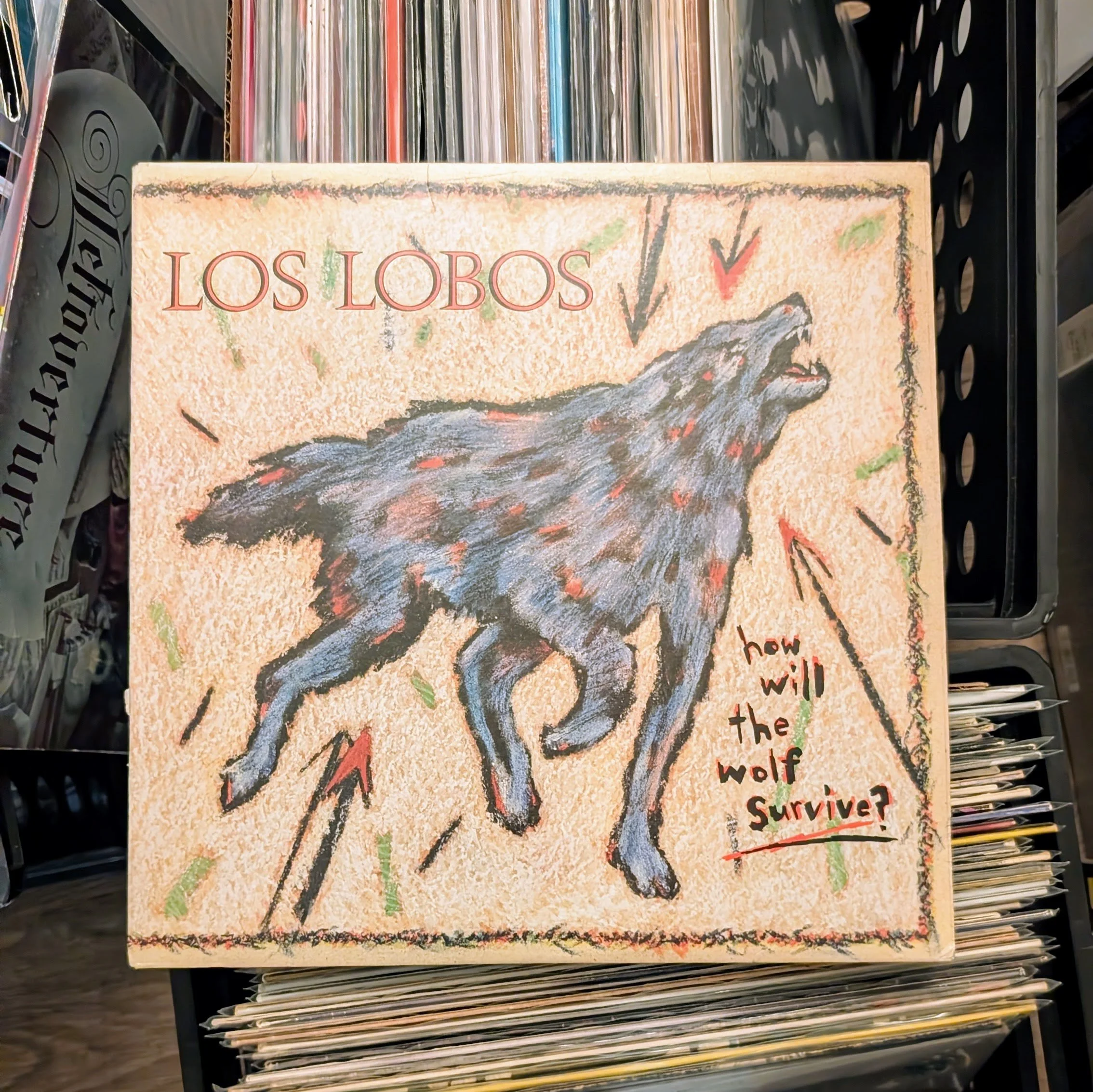 Los Lobos - How Will the Wolf Survive? (used vinyl)