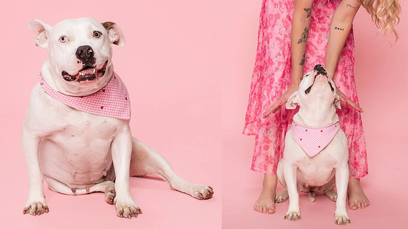 Jacksonville-Rescue-Dog-Photographer-AZPhotoJax