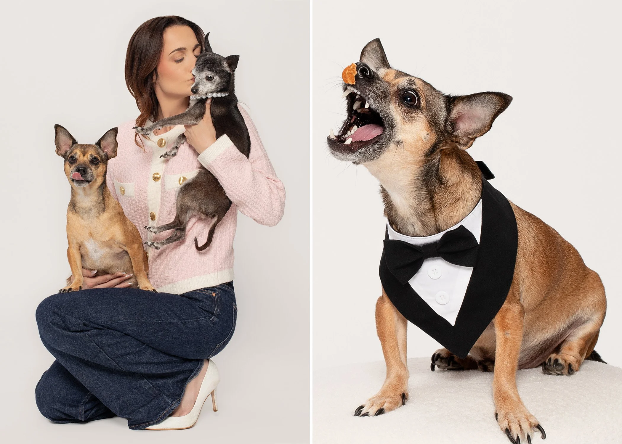Jacksonville-Studio-Pet-Photographer-AZPhotoJax