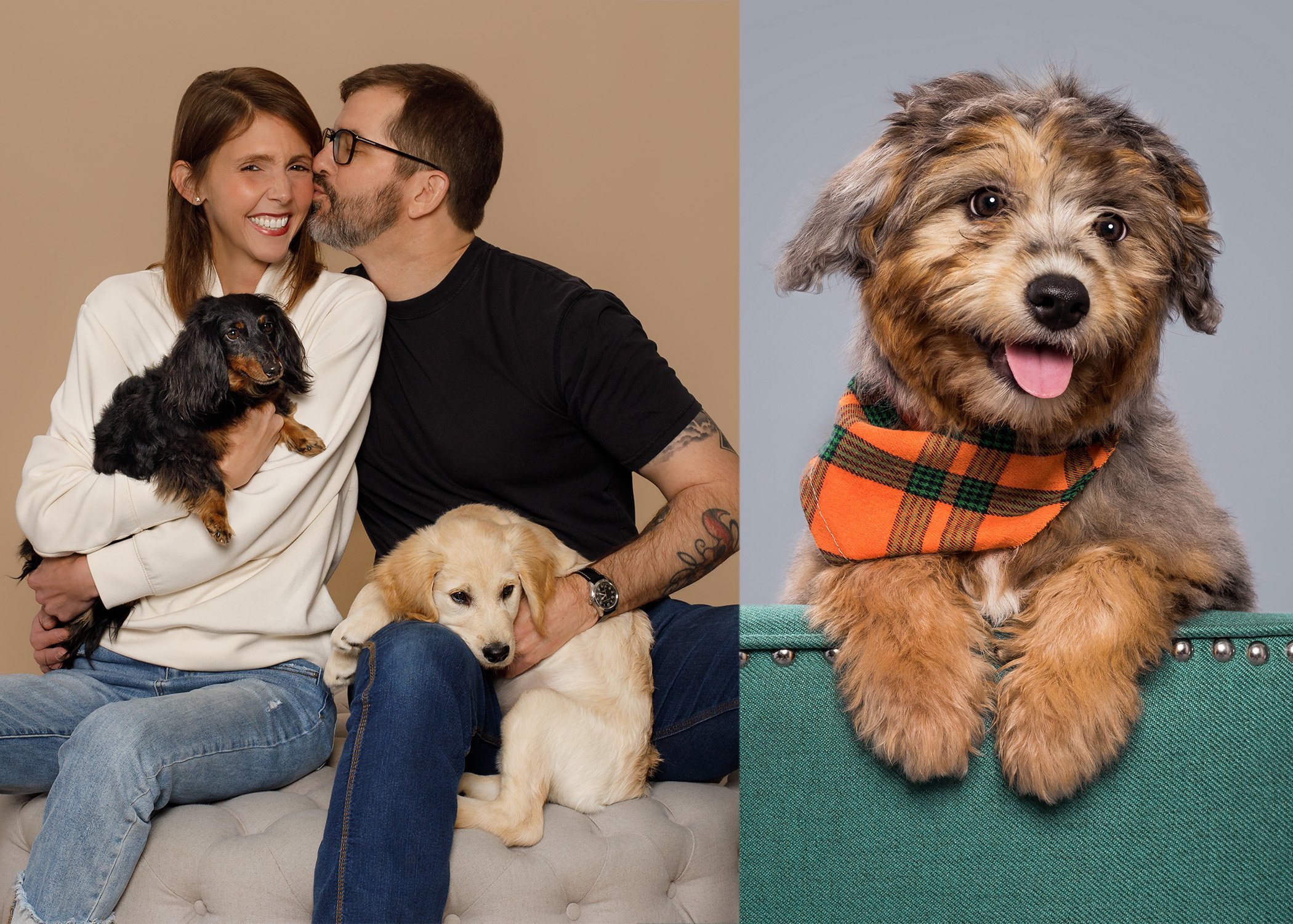 Puppy-Family-Pet-Photographer-AZPhotoJax