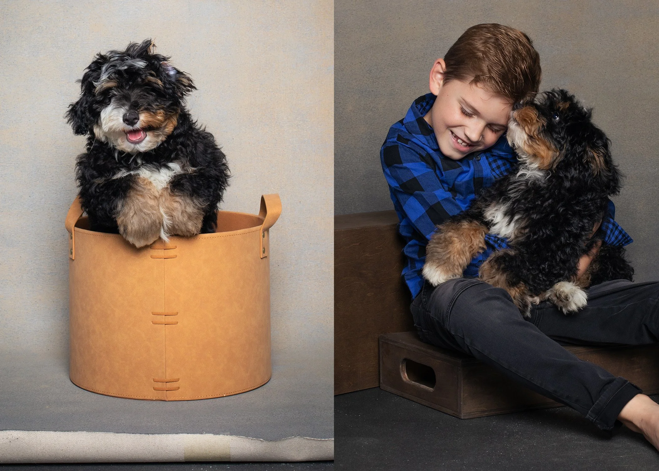 Puppy-Photography-Kids-Jacksonville-AZPhotoJax